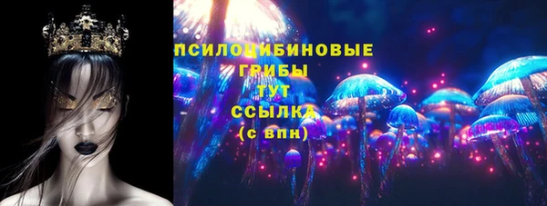 сатива Алзамай