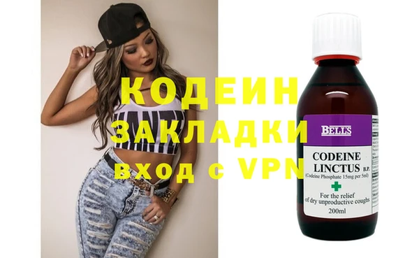индика Беслан