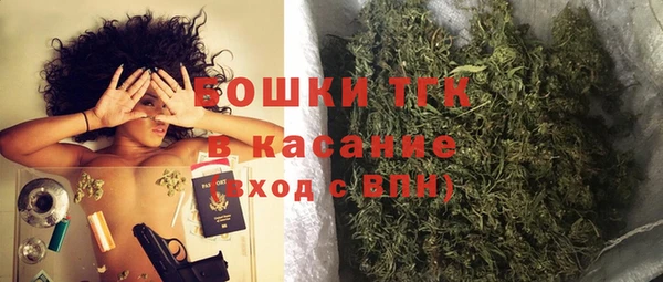 сатива Алзамай