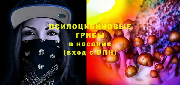 сатива Алзамай