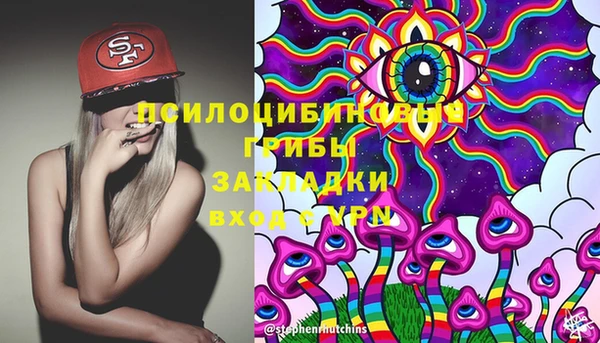 сатива Алзамай