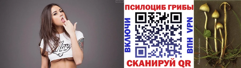 Галлюциногенные грибы Psilocybine cubensis Ступино
